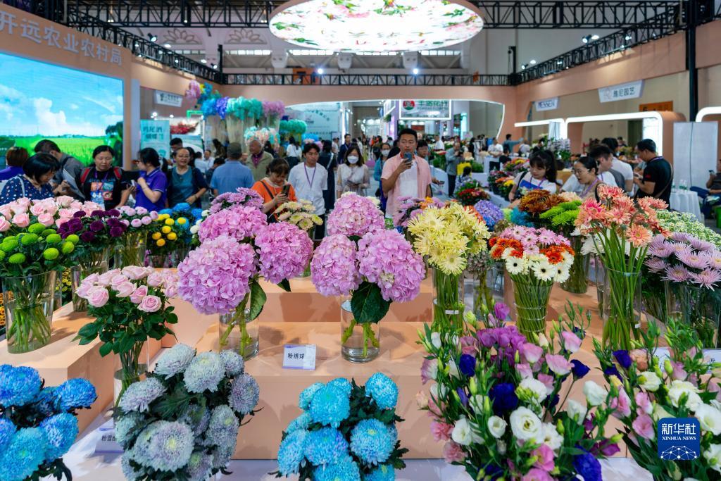 自助体验金8-88网站